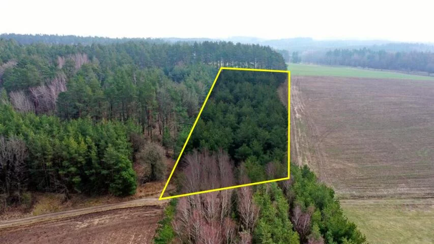 Działka 7 600,00 m², Kocioł Duży, Sprzedaż