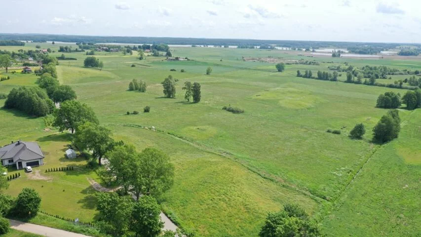 2378 - zdjęcie nr 2