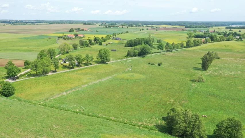 2378 - zdjęcie nr 3