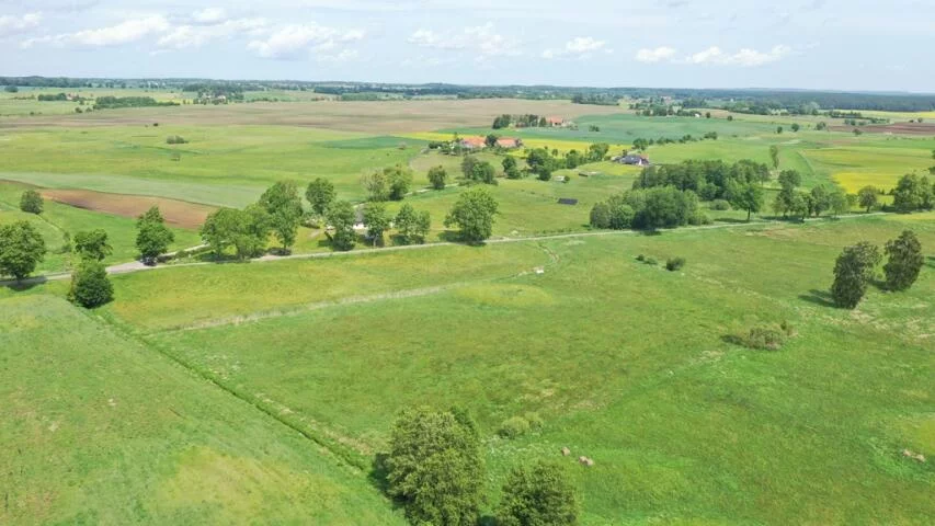 2378 - zdjęcie nr 4