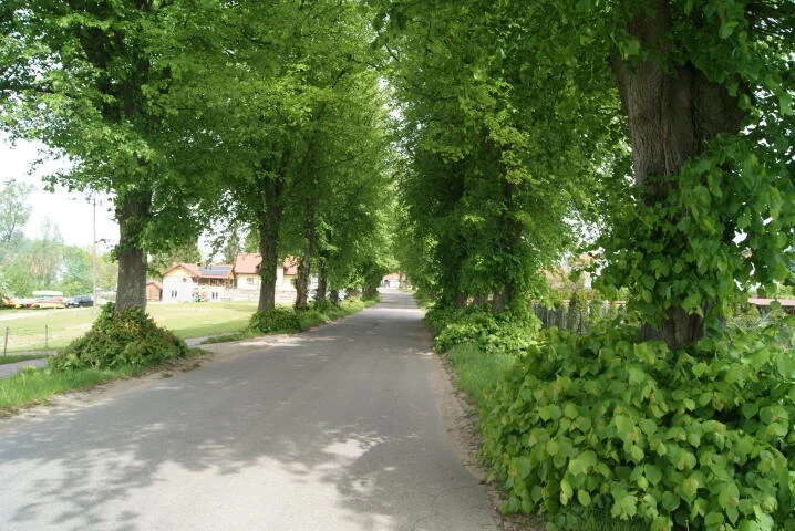 Działka 1 220,00 m², oferta nr , 2173, Krutyń