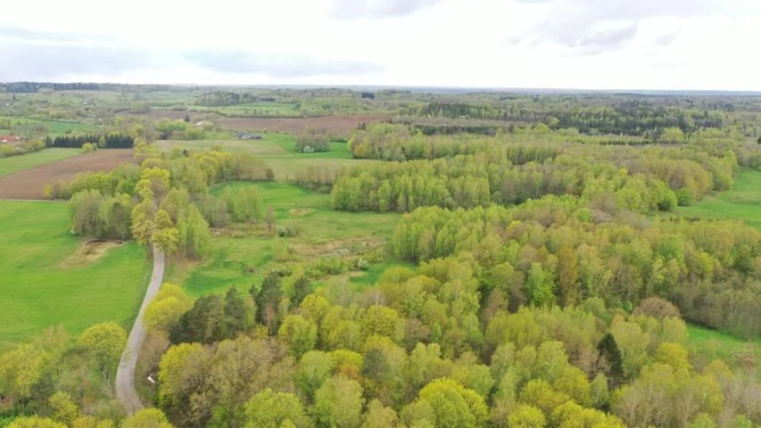 Działka 77 700,00 m², oferta nr , 2135, Langanki