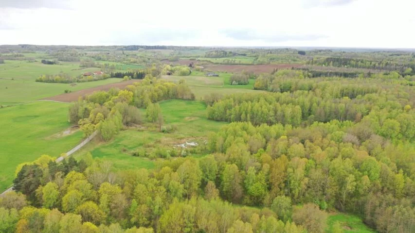 Działka 77 700,00 m², oferta nr , 2135, Langanki