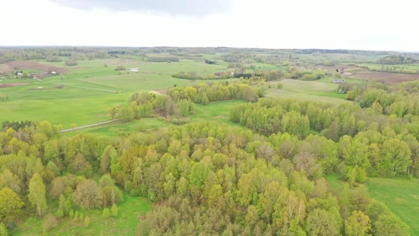 Działka 77 700,00 m², oferta nr , 2135, Langanki