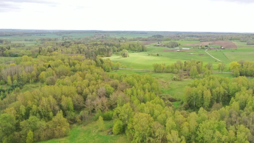 Działka 77 700,00 m², oferta nr , 2135, Langanki