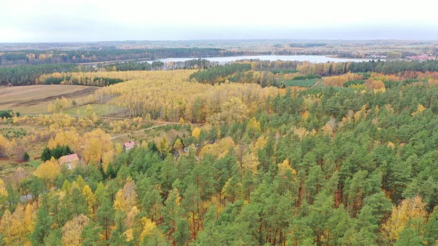 Działka 18 800,00 m², oferta nr , 2444, Rydzewo, Mazurska