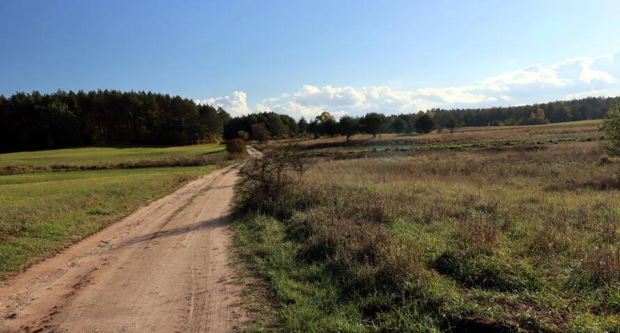 Działka 26 173,00 m², oferta nr , 2054, Mikosze