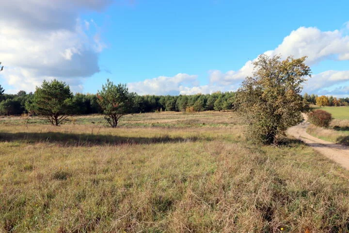 Działka 26 173,00 m², oferta nr , 2054, Mikosze