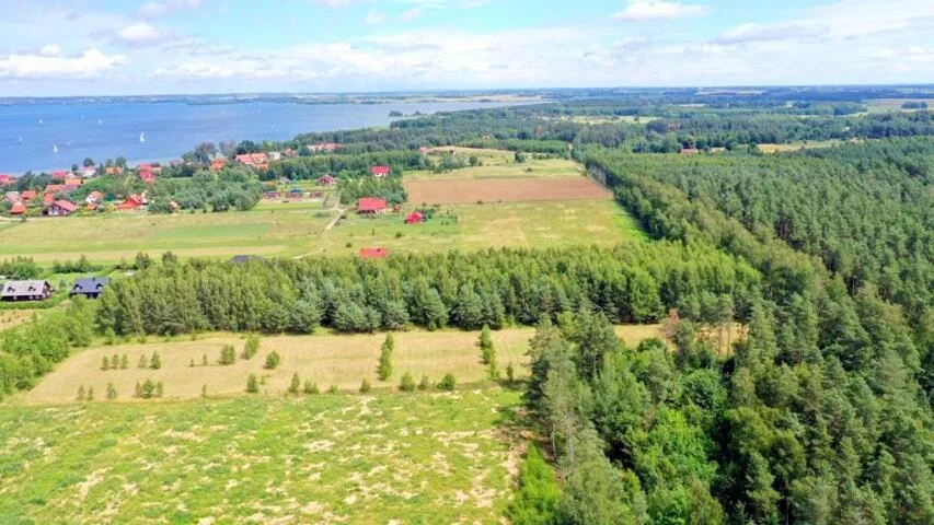 2440 - zdjęcie nr 2