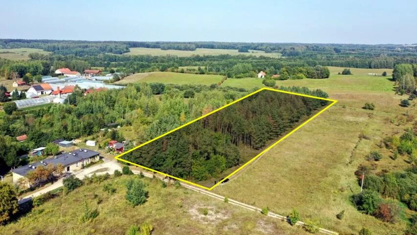 Działka 8 100,00 m², Ogonki, Sprzedaż