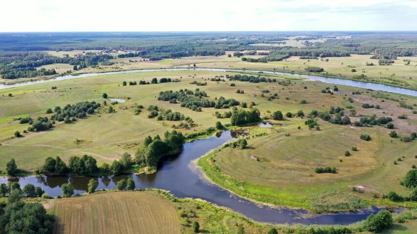 Działka 155 774,00 m², Osetno, Sprzedaż