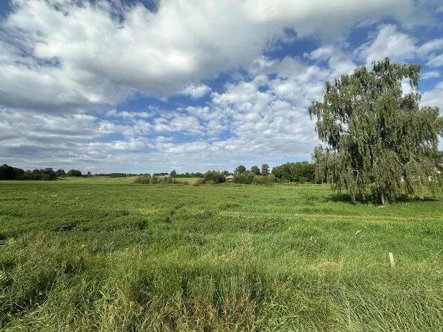2437 - zdjęcie nr 3