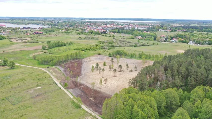 2387 - zdjęcie nr 1