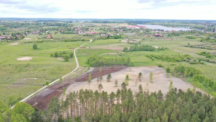 2387 - zdjęcie nr 2