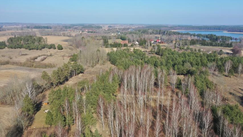 2322 - zdjęcie nr 3