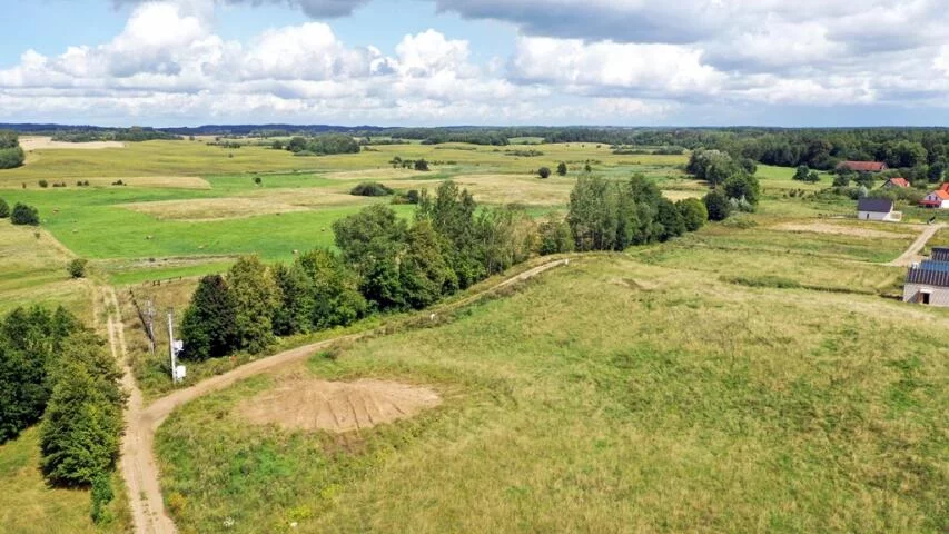 2435 - zdjęcie nr 3
