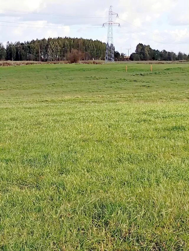 Działka 3 024,00 m², oferta nr , 2462, Siedliska