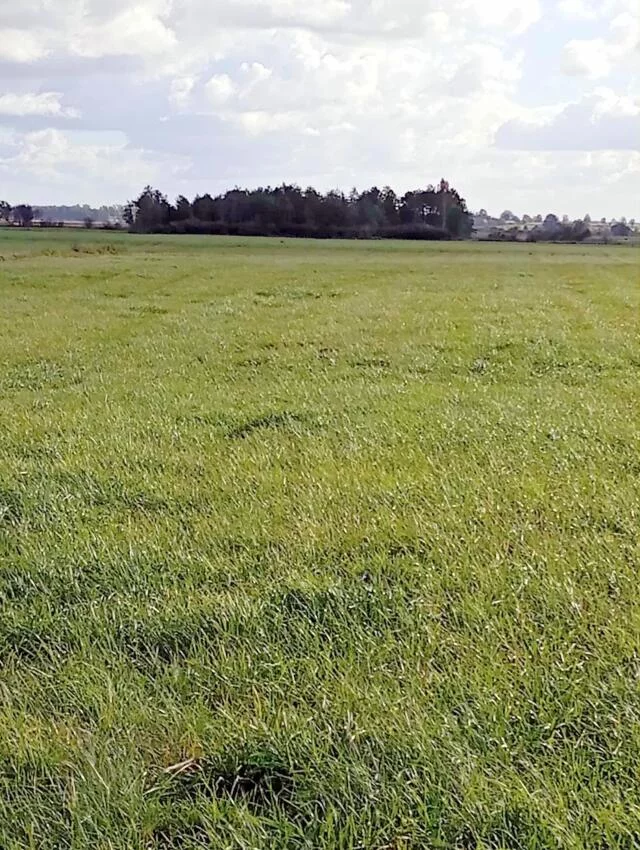 Działka 3 024,00 m², oferta nr , 2462, Siedliska