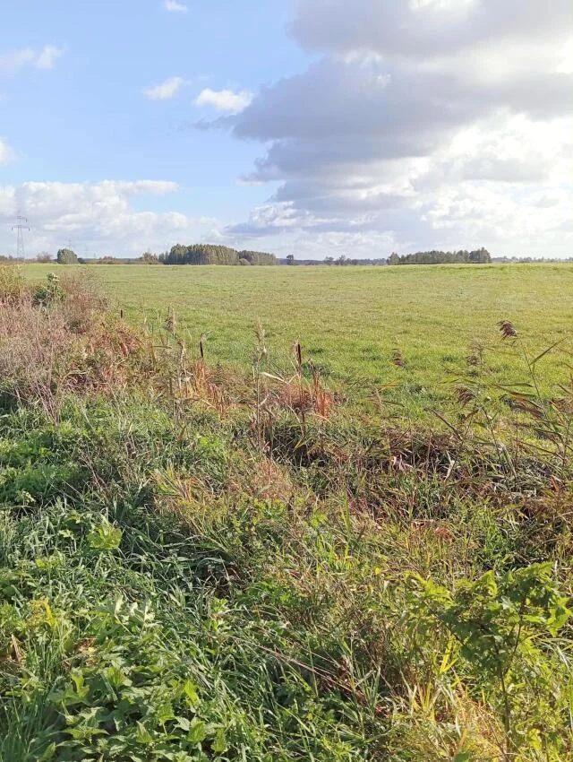 Działka 3 024,00 m², oferta nr , 2462, Siedliska