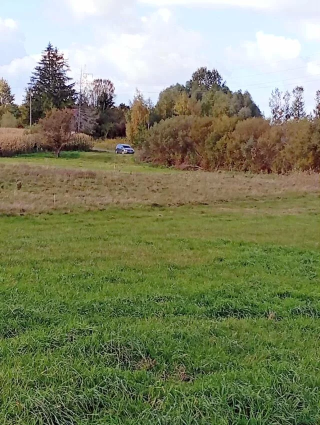 Działka 3 024,00 m², oferta nr , 2462, Siedliska