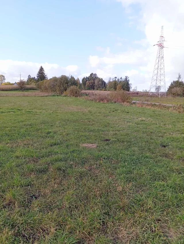 Działka 3 024,00 m², oferta nr , 2462, Siedliska