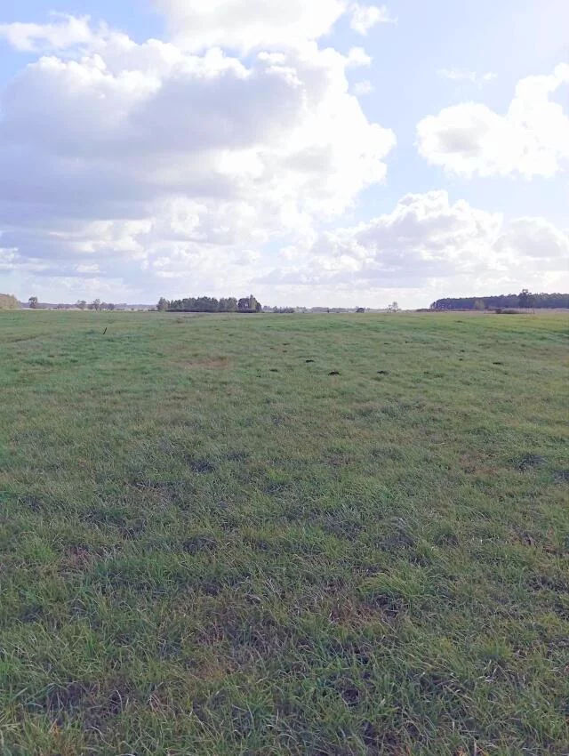 Działka 3 024,00 m², oferta nr , 2462, Siedliska