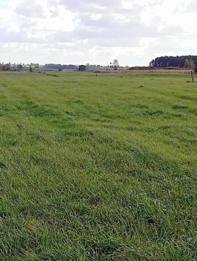Działka 3 024,00 m², oferta nr , 2462, Siedliska
