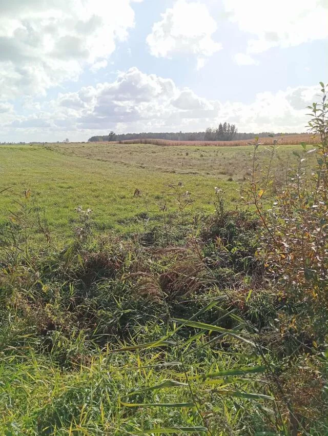 Działka 3 024,00 m², oferta nr , 2462, Siedliska