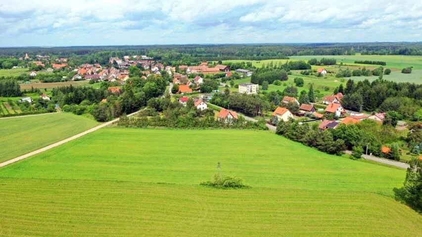 2385 - zdjęcie nr 2