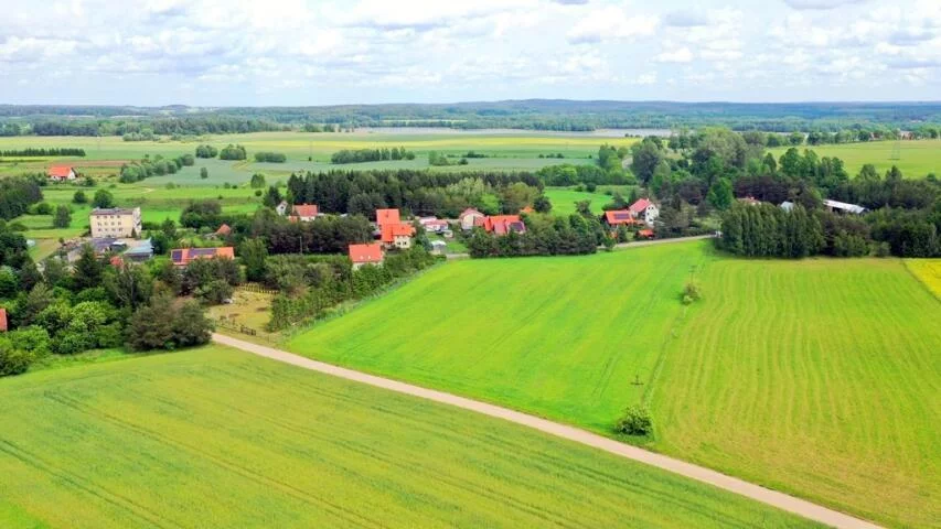 2385 - zdjęcie nr 3