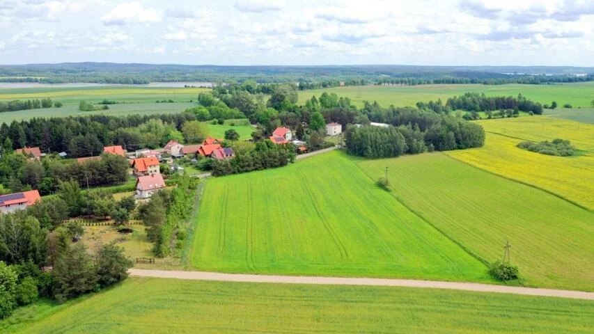 2385 - zdjęcie nr 4