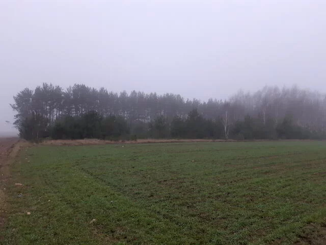 Działka 8 080,00 m², Śmiarowo, Sprzedaż