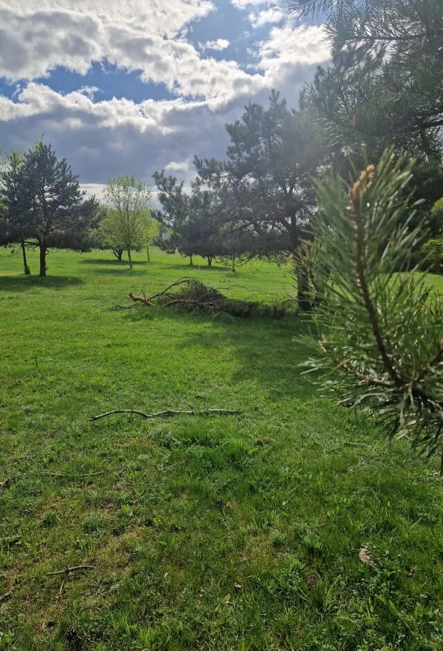 Działka 1 088,00 m², oferta nr , 2136, Nowogród, Śródpolna