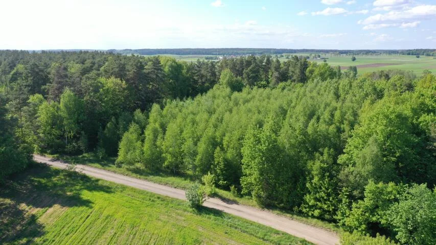 Apartamenty 1216 Stary Cydzyn