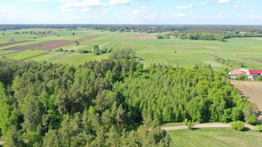 1216 - zdjęcie nr 0