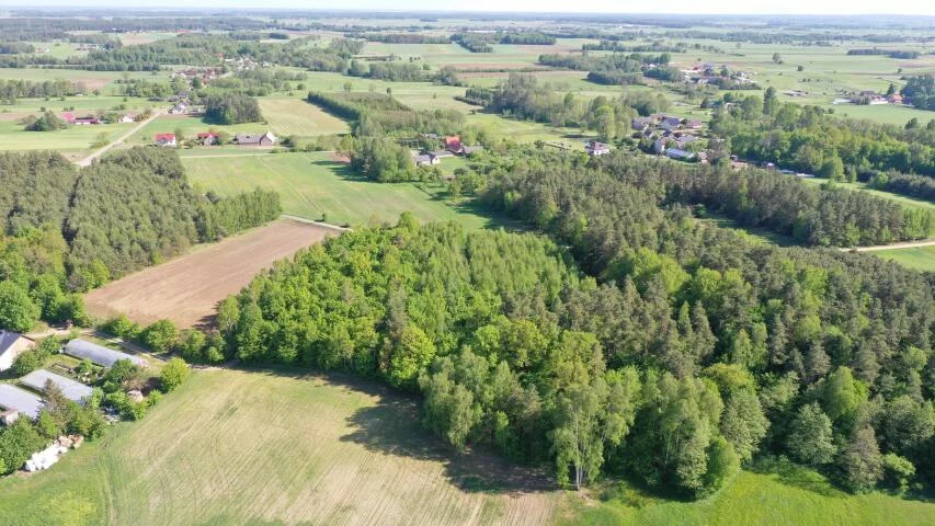 1216 - zdjęcie nr 1