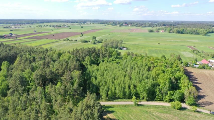 1216 - zdjęcie nr 3