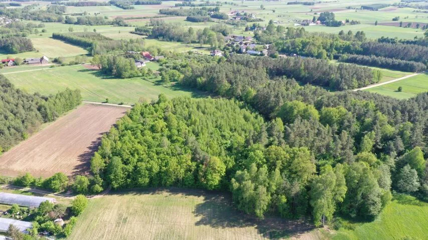 1216 - zdjęcie nr 4