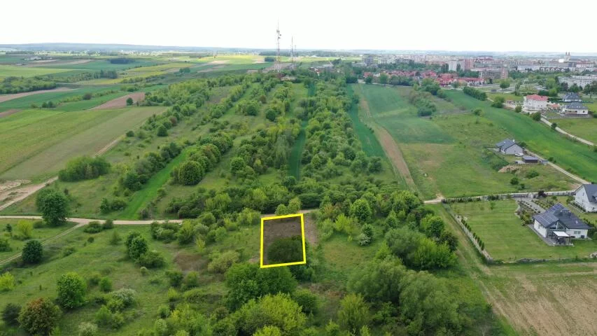 2360 - zdjęcie nr 2
