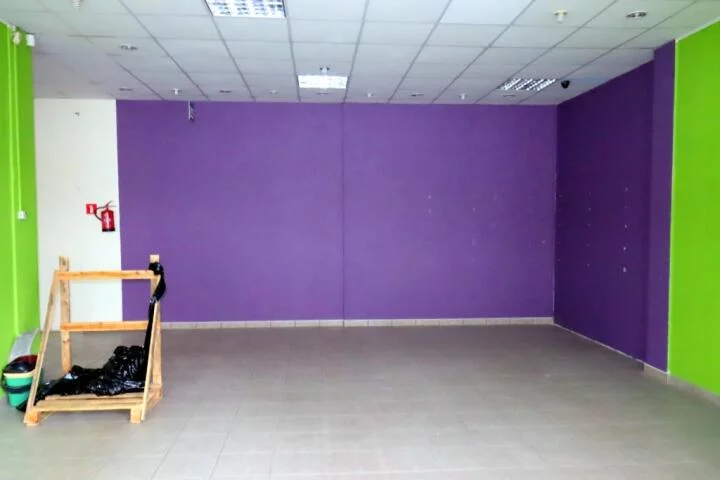 2416 - zdjęcie nr 3