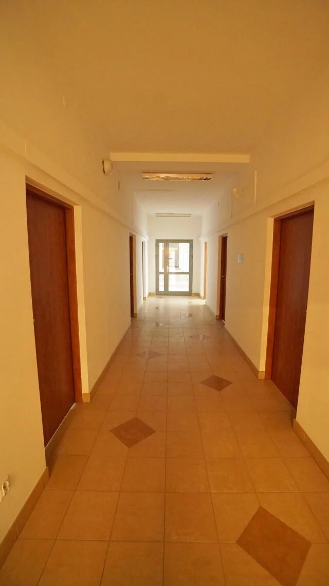 2426 - zdjęcie nr 4