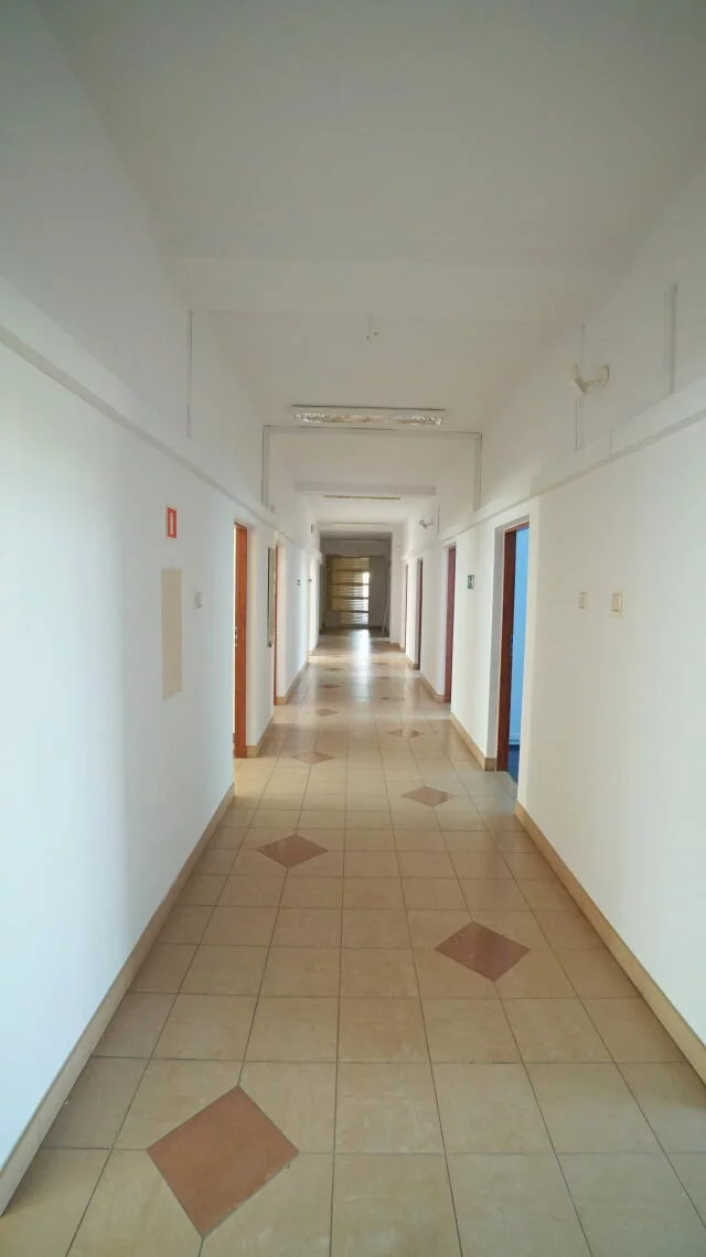 Lokal użytkowy 1 681,48 m², oferta nr , 2426, Łomża, Niemcewicza