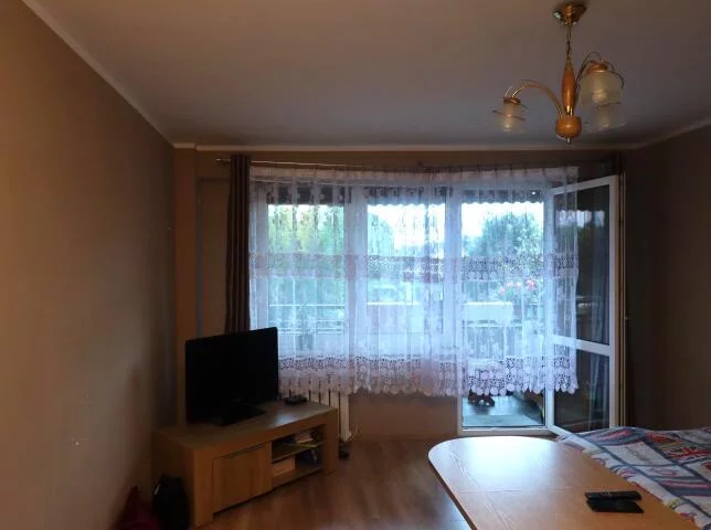 2421 - zdjęcie nr 3