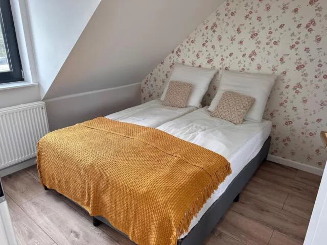 2427 - zdjęcie nr 3