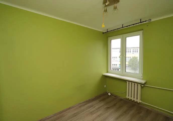 2381 - zdjęcie nr 1