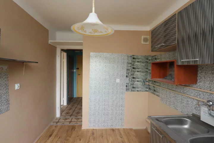 2381 - zdjęcie nr 3