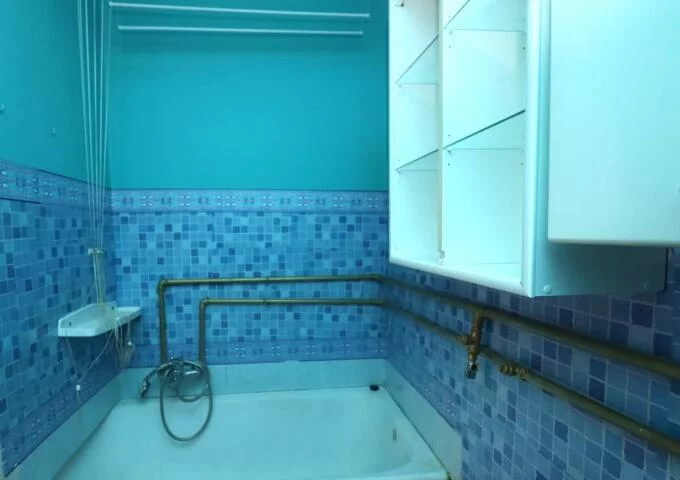 2381 - zdjęcie nr 4