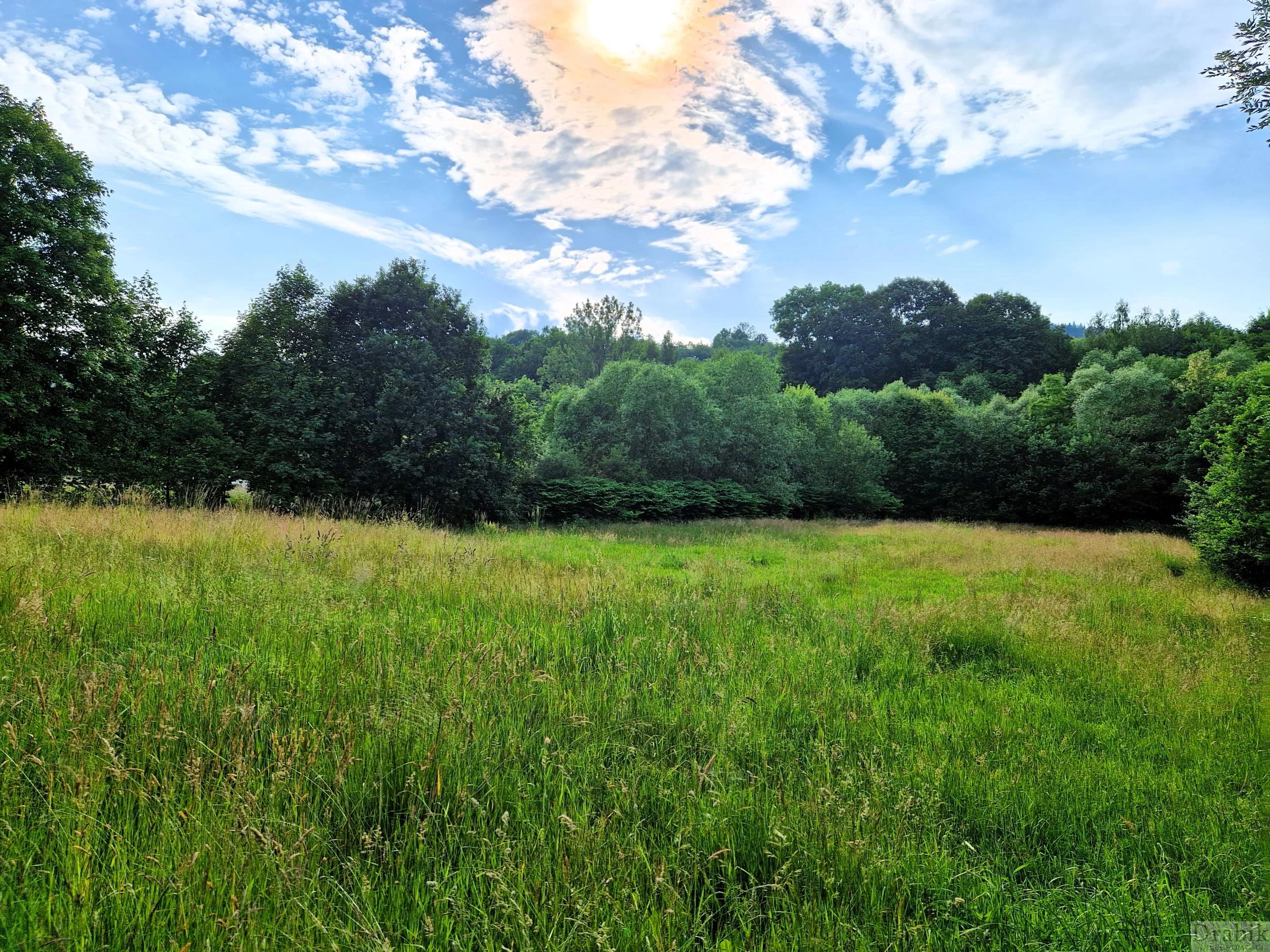 Działka 8 784,00 m², oferta nr , 2507, Targanice, Beskidzka
