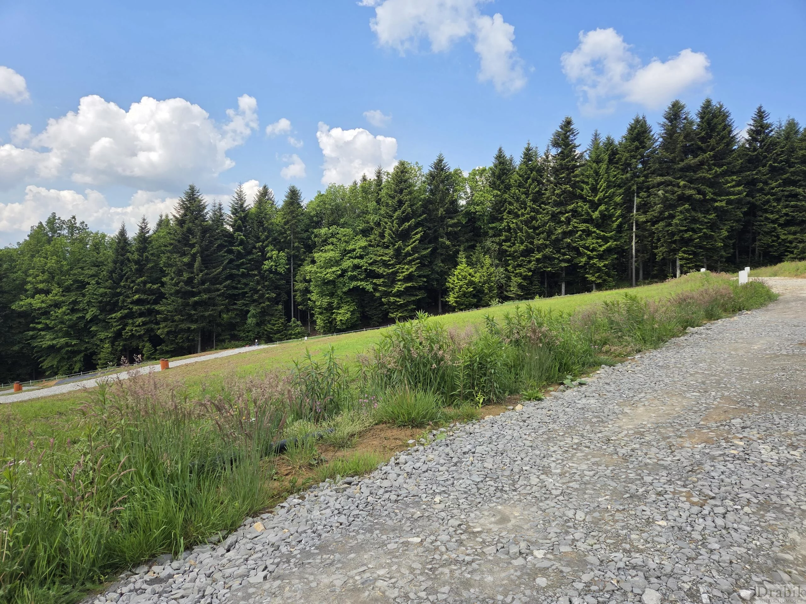 Działka 716,00 m², oferta nr , 2657, Dąbrówka