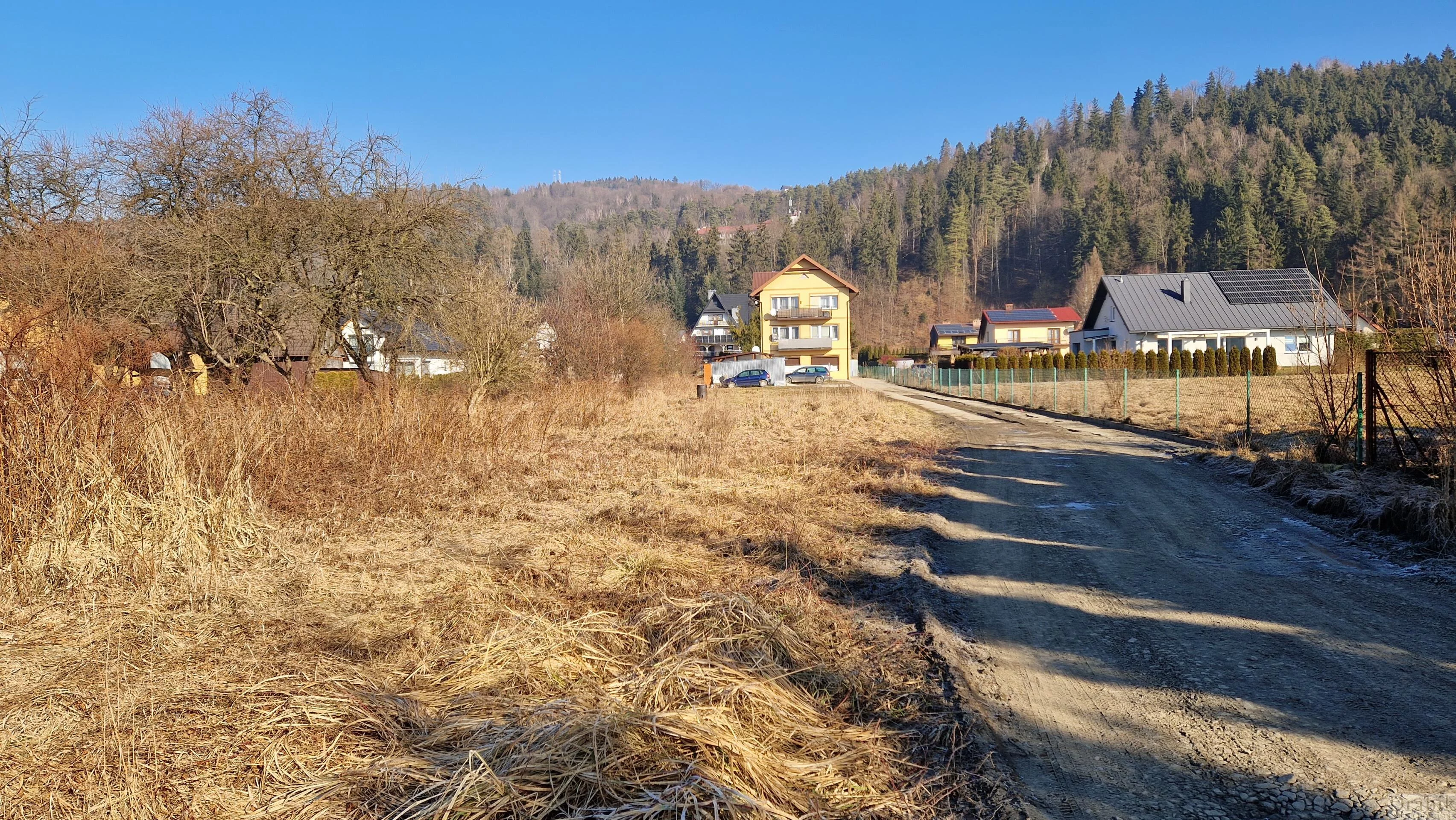 2620 - zdjęcie nr 1